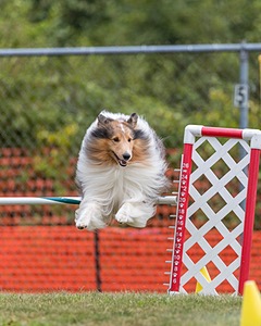 20200819-1443.jpg