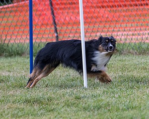 20200819-2860.jpg