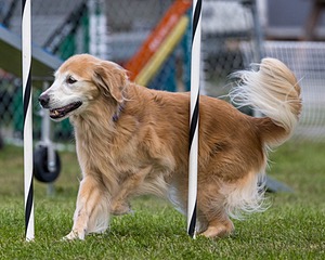 20230917-PVKC-2797.jpg