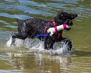Lulu Paige