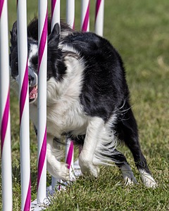 20230916-PVKC-1227.jpg