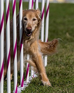 20230916-PVKC-1298.jpg