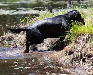 20130602-SEAW-0393.jpg