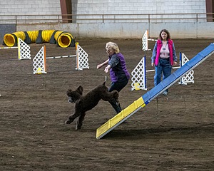 20190513-AG-0022.jpg