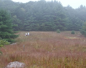 20130921-C-0003.jpg