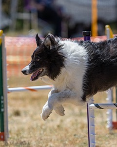 20160618-CCKC-1782.jpg