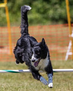 20180616-1155.jpg