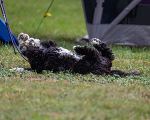 20240921-C-0005.jpg