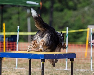 20160619-CCKC-1624.jpg