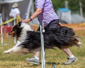 20180617-1355.jpg