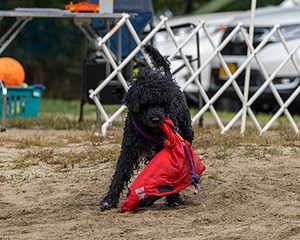 20210912-MWD-0120.jpg