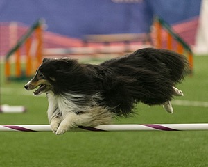 20150321-LEAP-1301.jpg