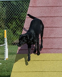 20200819-0763.jpg