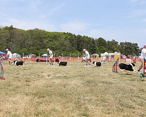 20150612-CCKCMC-0064.jpg