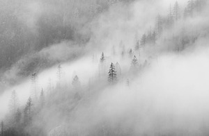 20170208-0020.jpg