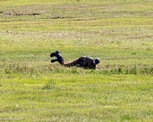 20210724-C-0019.jpg