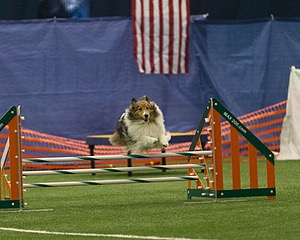 20150321-LEAP-1379.jpg