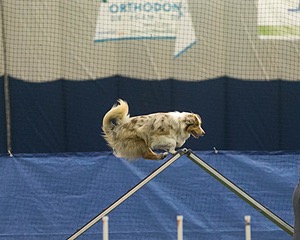 20150321-LEAP-0774.jpg