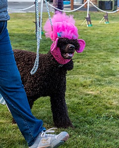20210827-CC-0074.jpg