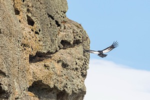 20191206-0046.jpg