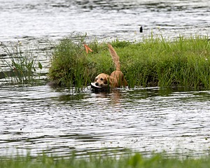 20170805-MH2-0015.jpg