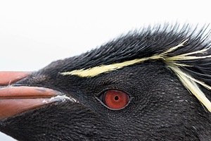 20191214-0246.jpg