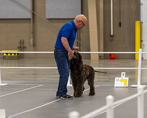 700 - GCH Blackthorn’s Lass That Loves A Sailor in Wicklow CD RM CGC