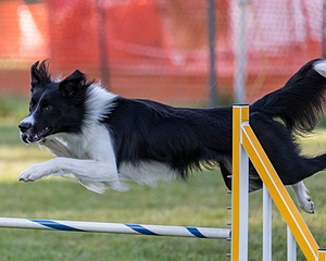 20200819-3023.jpg