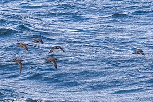20260325-0089.jpg