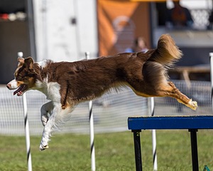 20230917-PVKC-2291.jpg