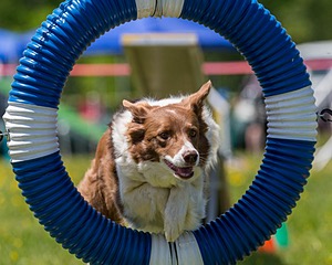 20170520-NEAT-1628.jpg