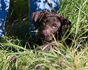 20130811-C-0007.jpg