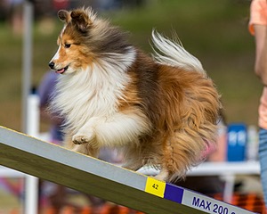 20180616-1831.jpg