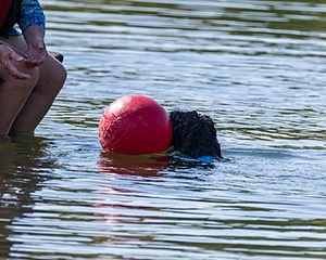 Boaty Bellicose