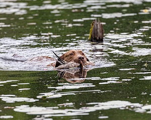 20170603-SEAW-0047.jpg