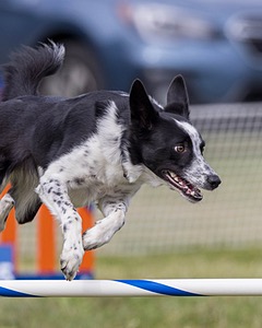 20230916-PVKC-2064.jpg