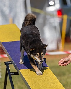 20180617-0092.jpg