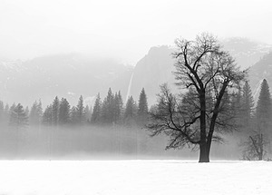 Yosemite National Park