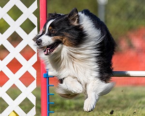 20200819-2579.jpg