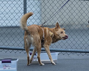 20260718-NSKC-0532.jpg