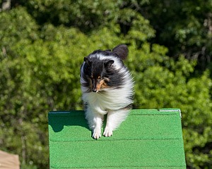 20160619-CCKC-0118.jpg