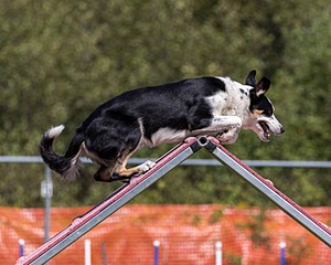 20200819-2291.jpg
