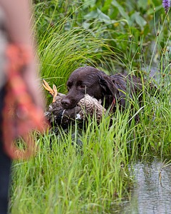 20180804-JHW-0016.jpg