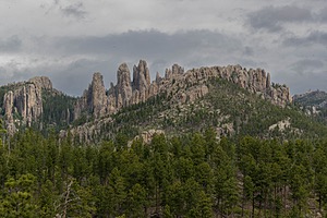 20200619-2570.jpg