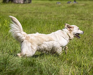 Lizzie Daudelin