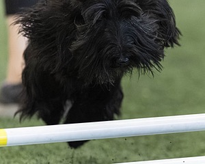 Flora Holmes