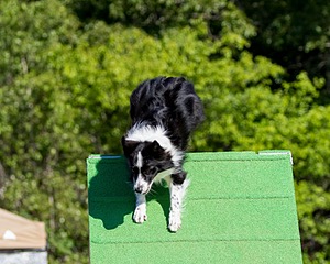 20160619-CCKC-0237.jpg