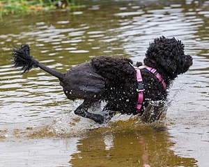 "Tessa" & Patty