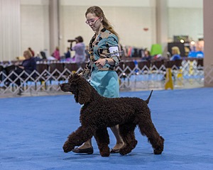 10 - Poole's Ide Touch Of Mink (Darla)