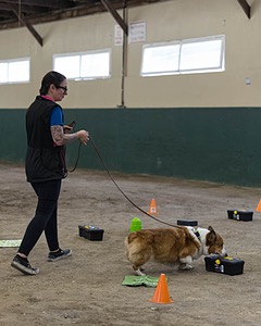 20260718-NSKC-0663.jpg